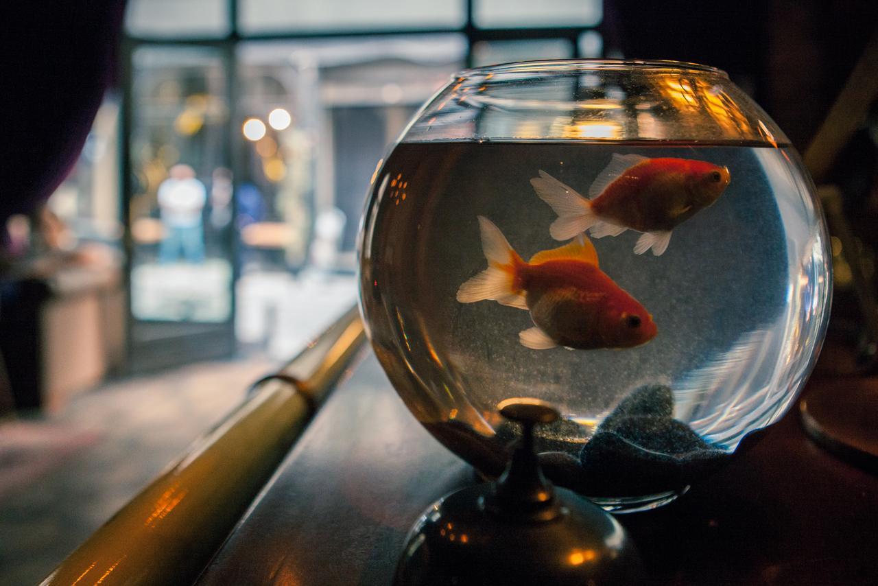 Georges Hotel Galata Istanbul Ngoại thất bức ảnh